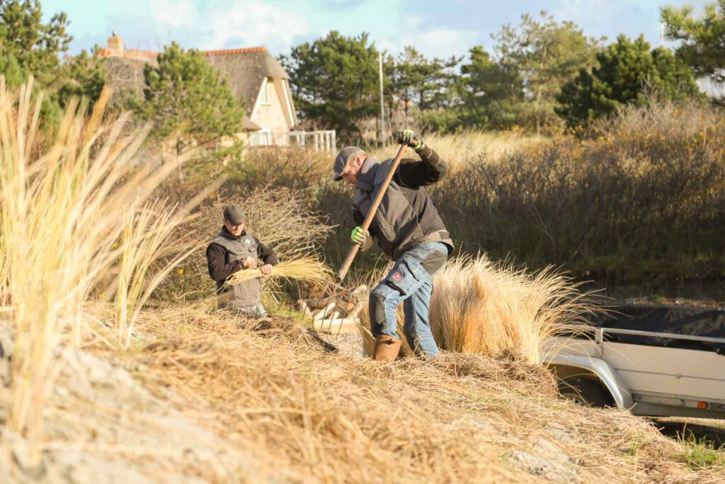 Tuinaanleg JP Gardens Ameland